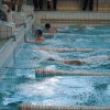 Змагання з плавання (Універсіада м.Києва)