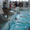 Змагання з плавання (Універсіада м.Києва)