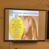 Використання анаболічних стероїдів у фізичній реабілітації та спорті (засідання наукового гуртка)